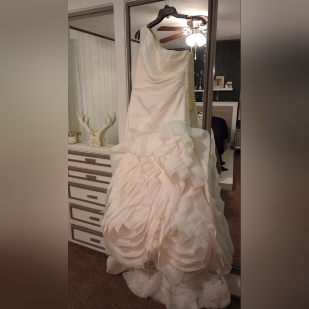 Ivory Organza White by Vera Wang for David's bridal